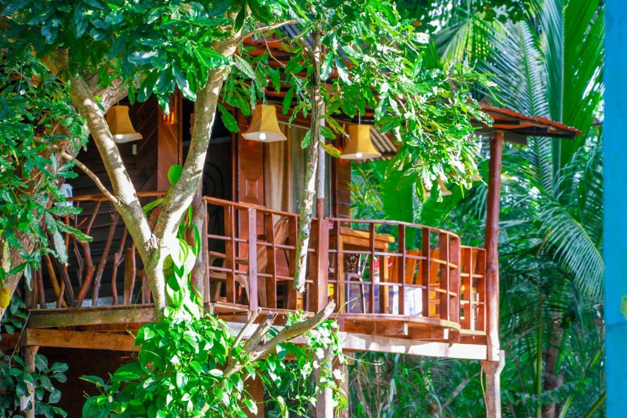 Experience The Comforts Of An Amazing Treehouse Сигирия Екстериор снимка