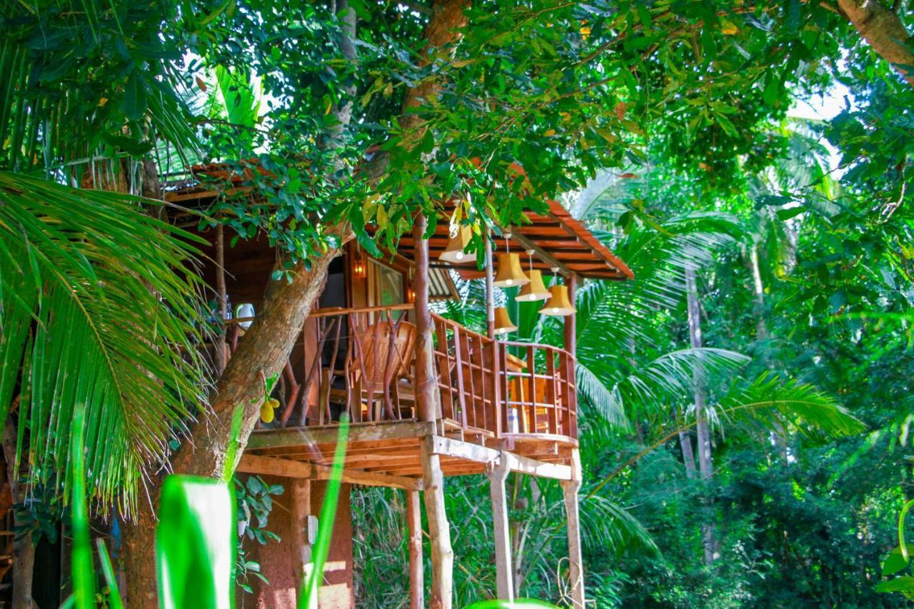 Experience The Comforts Of An Amazing Treehouse Сигирия Екстериор снимка